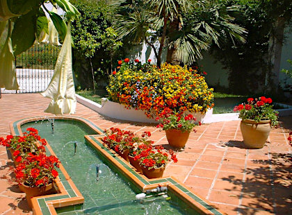 photo of the typical adnalusian patio of Fince del Niña with a spring