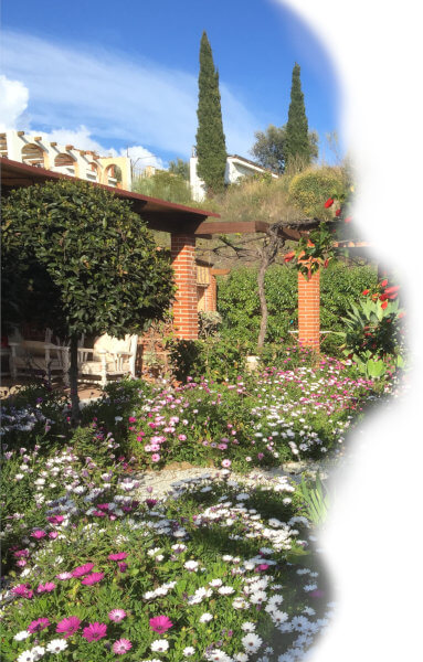 photo of the garden with a lots of flowers